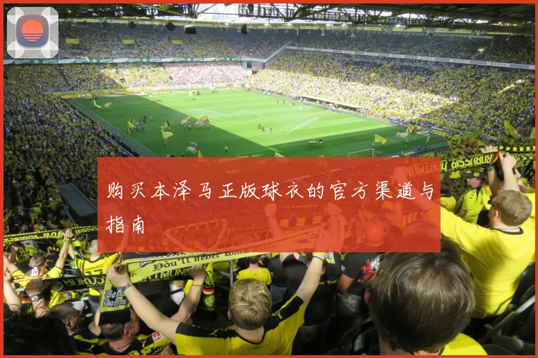 购买本泽马正版球衣的官方渠道与指南