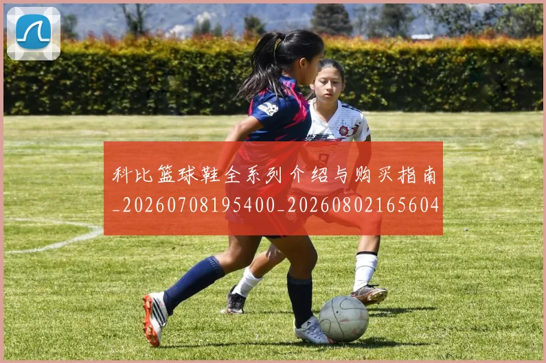 科比篮球鞋全系列介绍与购买指南_20260708195400_20260802165604